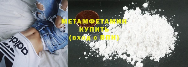 прущие грибы Аркадак