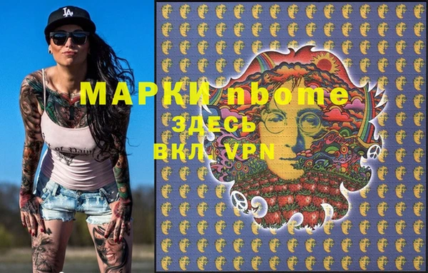 прущие грибы Аркадак