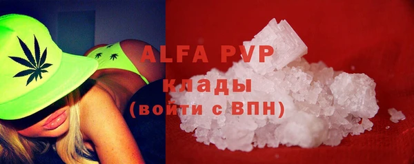 шишки Арсеньев