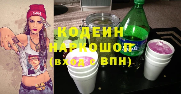 шишки Арсеньев