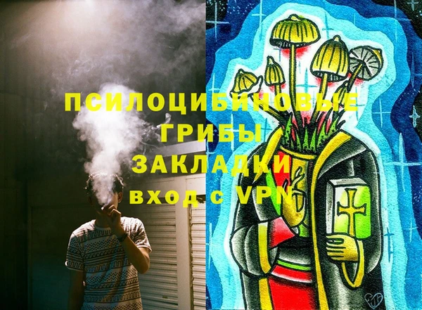 шишки Арсеньев
