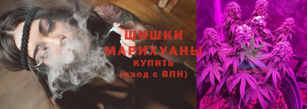 шишки Арсеньев