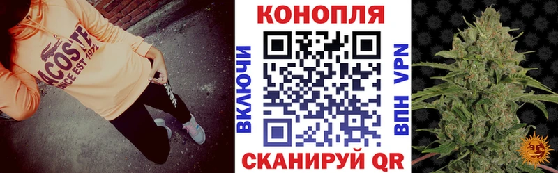 Бошки Шишки AK-47 MEGA ссылки Светлый